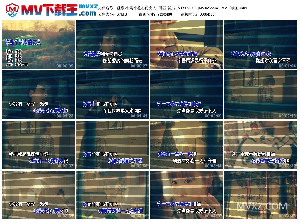 魏歌-你是个花心的女人_国语_流行_ME902078